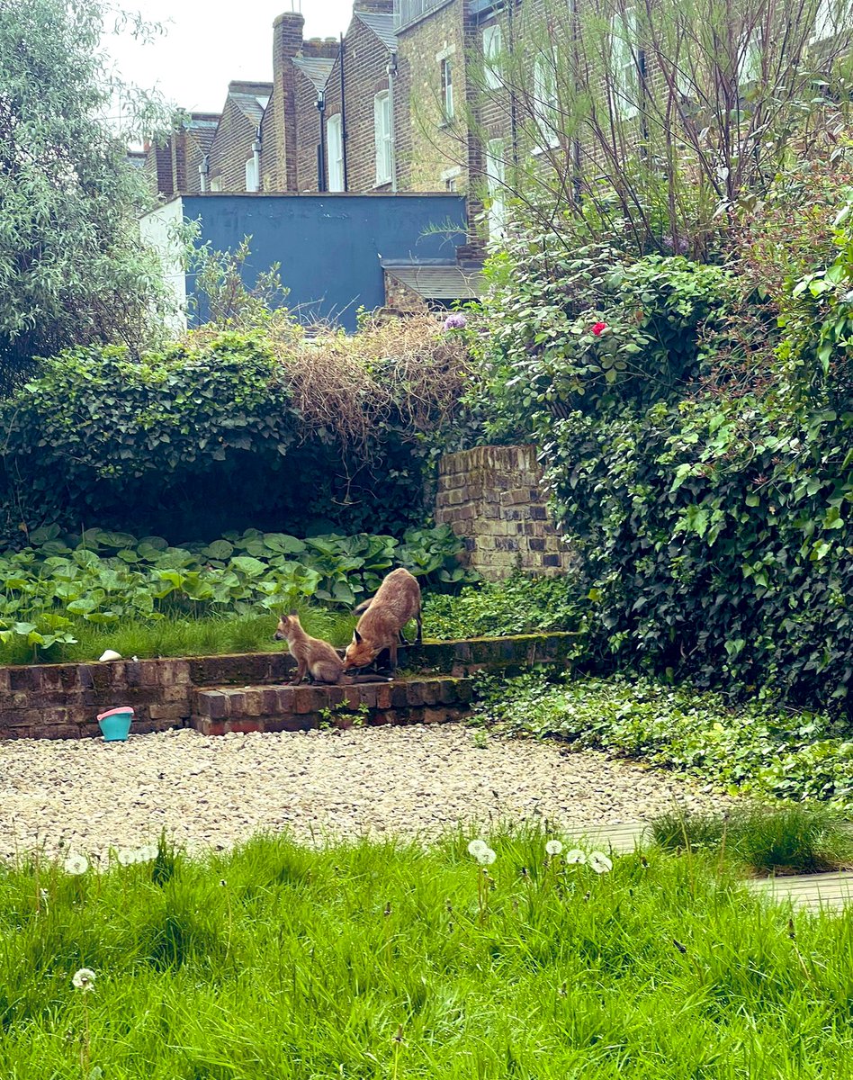 Christian Bauman tweet media