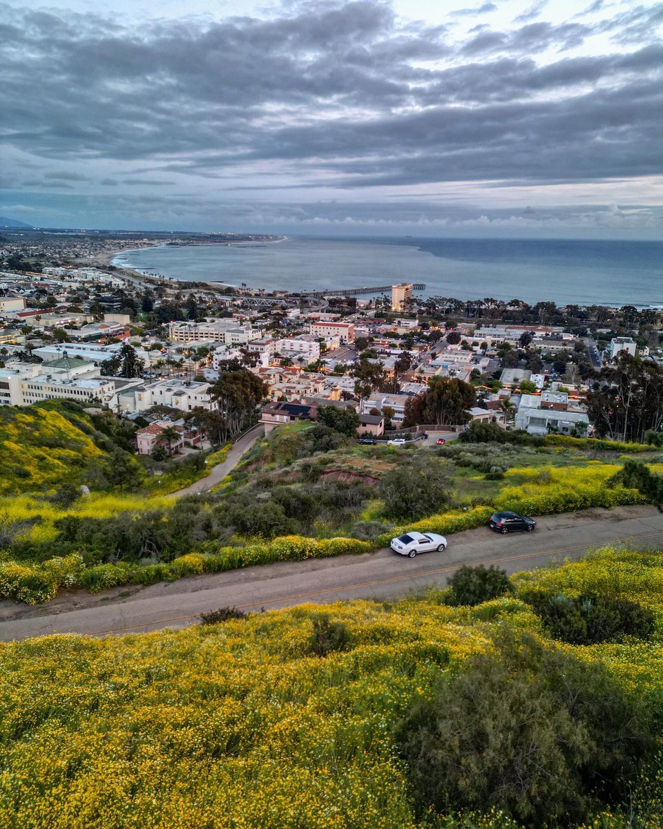 Visit Ventura tweet media