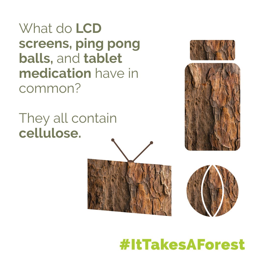 Cellulose, a type of fibre in the cell walls of bark, wood &amp; plants, is found in many everyday items. It forms an LCD screen's polarizing film, helps ping pong balls bounce &amp; makes tablets dissolve quickly. Learn more about the integral role of forest by-products on our website!