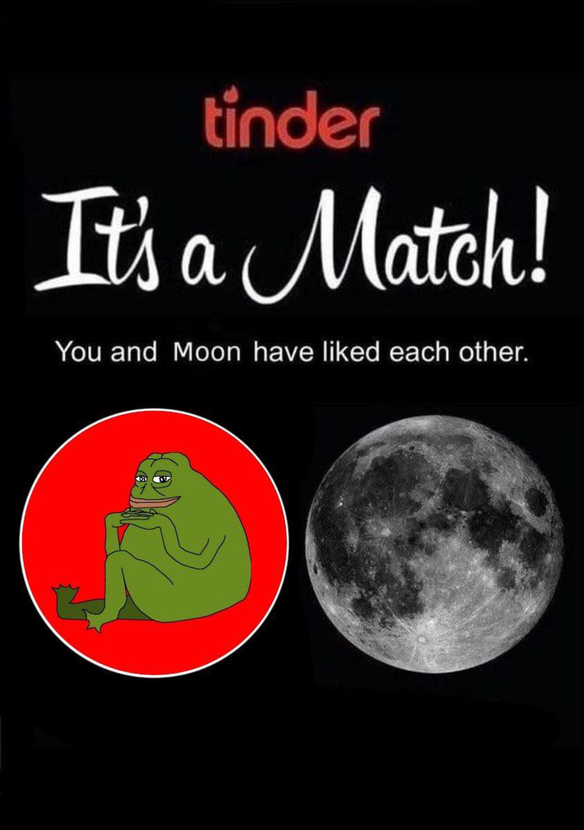 CowboyCheems's tweet photo. @toadybsc It’s a match to moon

#TOADY $TOADY #TOADYARMY #ETH #BSC #PEPE https://t.co/iBJMuDyOOX