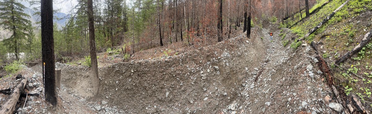 CarieAnnLau's tweet image. Another amazing day out in the field on sabbatical… #debrisflow #postwildfire