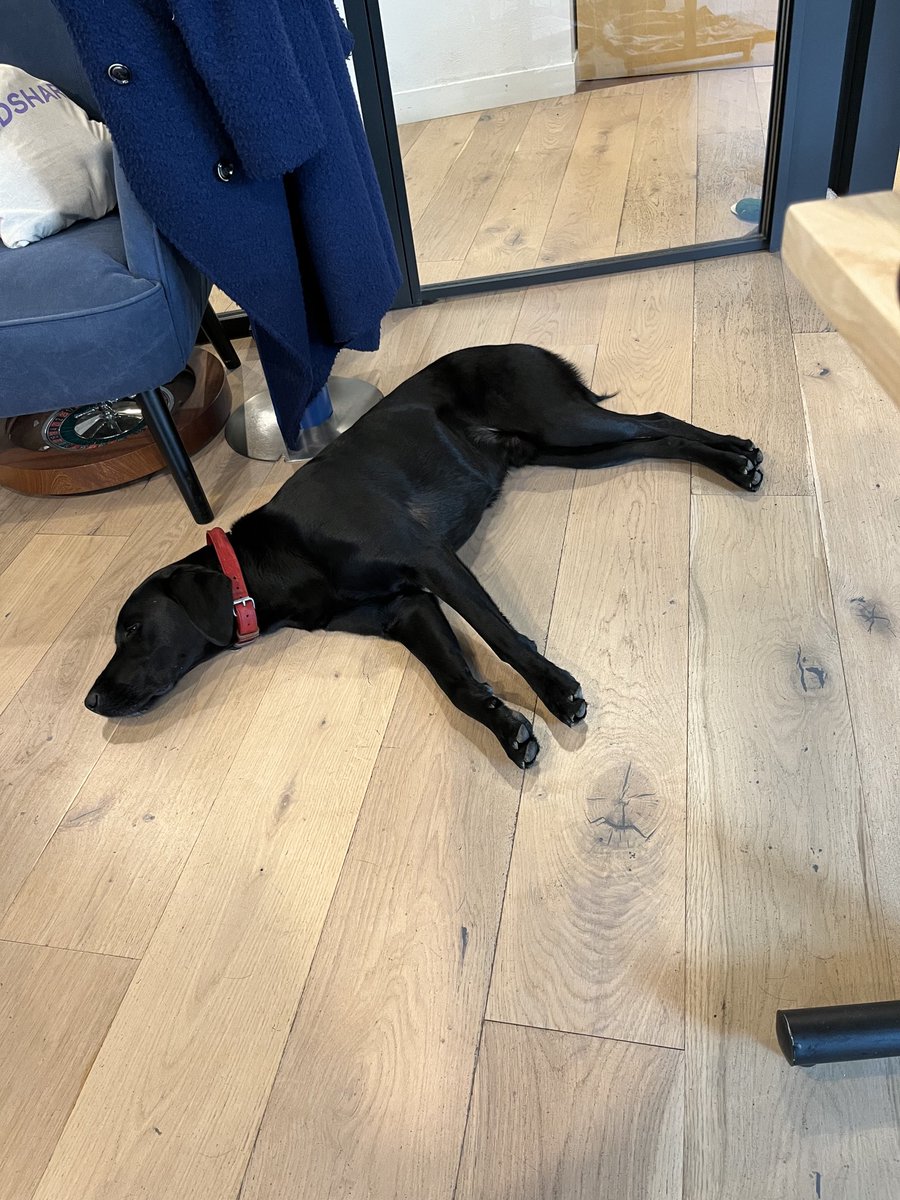StuartWilsonRPI's tweet image. It’s been back2back today ⁦@themcggrp⁩ ⁦@RPInsight⁩ for Rafiki with Client interviews until late. Managed to fit in a quick photo shoot for ⁦@WeWork⁩ but might need a little touch up as am now pin-up ! #labradorrecruitment