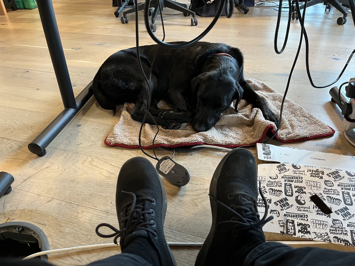 StuartWilsonRPI's tweet image. It’s been back2back today ⁦@themcggrp⁩ ⁦@RPInsight⁩ for Rafiki with Client interviews until late. Managed to fit in a quick photo shoot for ⁦@WeWork⁩ but might need a little touch up as am now pin-up ! #labradorrecruitment