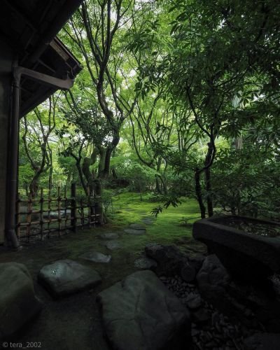 topycoore's tweet photo. #nature #japan #garden https://t.co/mDgK9dNKMd