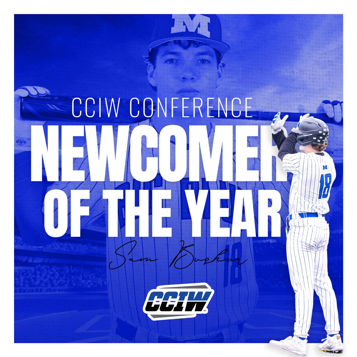 Millikin Baseball (@bigbluebaseball) on Twitter photo 