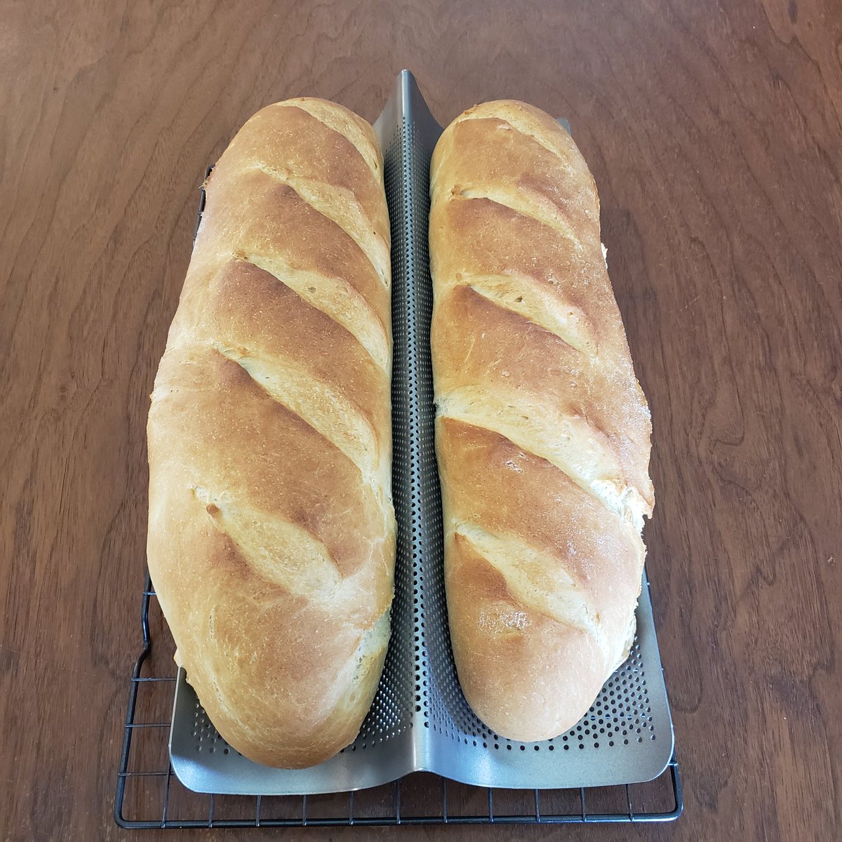deadgirltoo's tweet image. Dinner is coming along nicely! Bread is done, sauce is cooking, and dough is resting for the noodles. #Homemade #SpaghettiDinner #ImStarving 😂🥰🤤