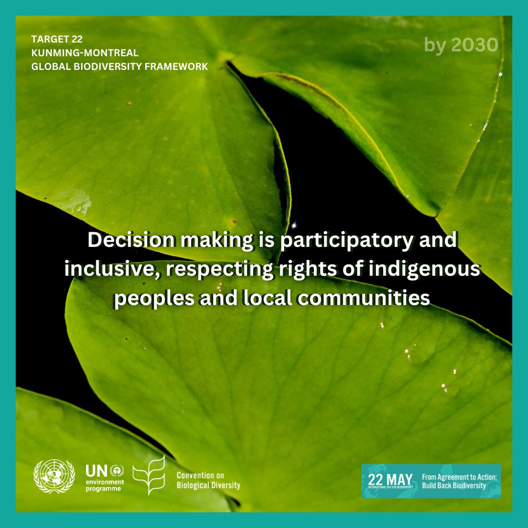 The Kunming-Montreal Global Biodiversity Framework was adopted in December 2022...

but how do we go #FromAgreementToAction?

As we get closer to #BiodiversityDay, you can learn about #biodiversity 🌿 and the #KMGBF by reading about the targets & goals:

➡️cbd.int/gbf/