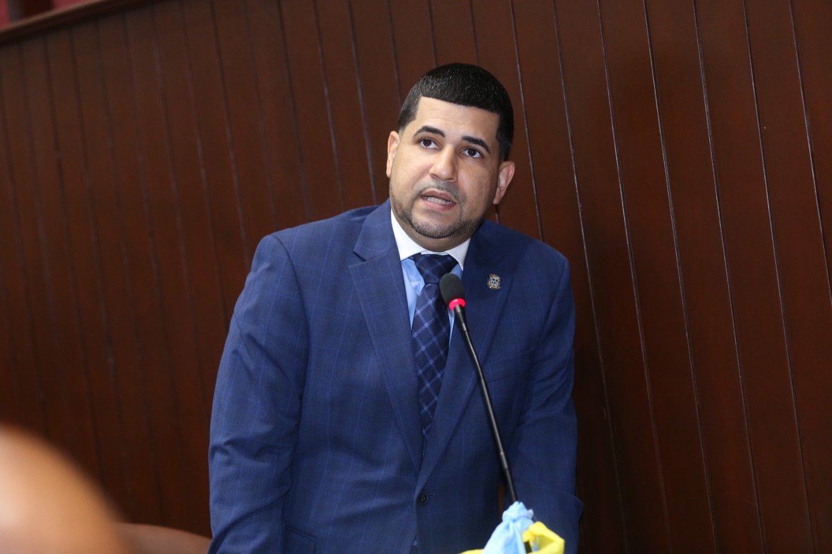 El diputado <a href="/espinal_braulio/">Braulio Espinal</a> se refiere al ministro <a href="/cearahatton/">Miguel Ceara Hatton</a> e informa que están agotados de la tala de árboles ilegales, específicamente de Pinos en San José de las Matas, Santiago. Afirma que están a punto de salir a las calles para impedir esta actividad que está afectando