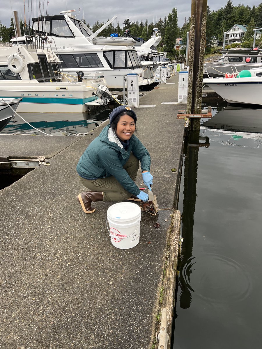 SERCinvasions's tweet photo. #MeetAnInvader Meet Jessika de Jesus, one of our technicians at #SERCWest! She surveys and identifies marine invertebrates (bivalves, gastropods, &amp; nudibranchs) for the #FoulingProject and also works on our #LivingSeawallProject and #SoftSediment surveys in #SFBay! 😄 #AAPIinSTEM https://t.co/RM02UcRqEL