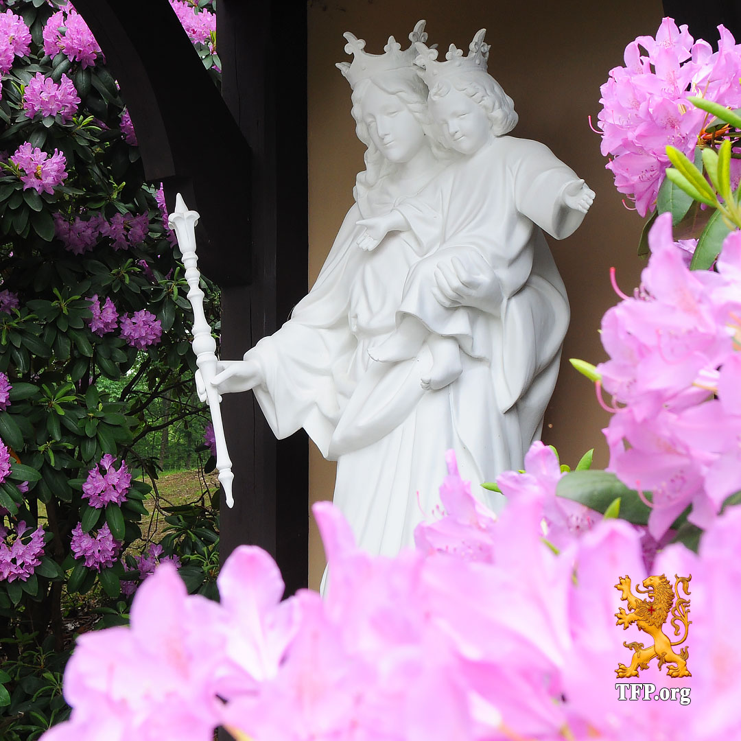 Take a moment to do this as we celebrate the Month of Mary! 

Consecration to Jesus Christ through Mary at tfp.org/consecration-t….