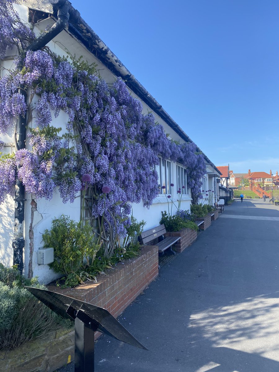 Fabulous evening for our “Change” programme walk. Tonight we strolled around Ansdell and Fairhaven it was beautiful. Getting our steps in, getting some fresh air and plenty of chatting. 
#healthylife #makingchanges #feelgood #lythamstannes