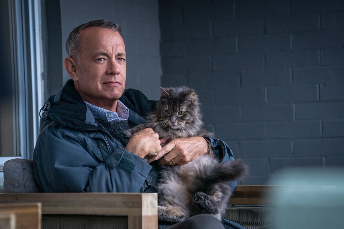 netflix's tweet photo. Tom Hanks plays a grumpy widower who has given up on life... until a young family moves in next door and changes the way he sees the world.   

Grab the tissues because A Man Called Otto is now on Netflix. https://t.co/ruIsah5uJY