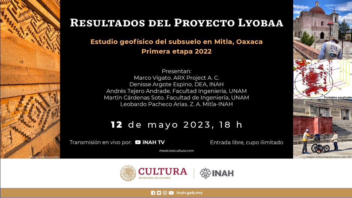 denisse argote tweet media