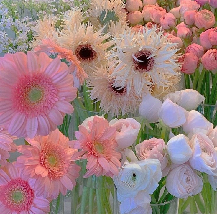 ɴɪɢʜᴛꜱꜱ ִֶָ࣪☾. tweet media