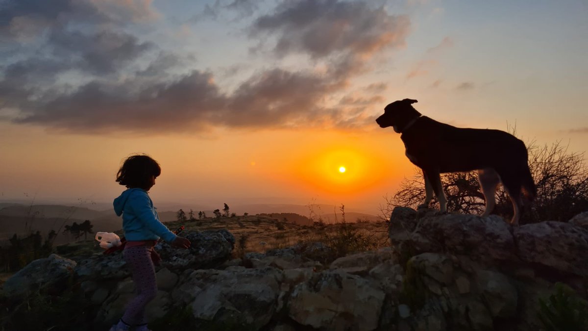 Kessem010's tweet photo. ס=סביבה. לא הדלקנו מדורה, וממש לא היה חסר. מדורת השבט שלנו ממוקמת בלבבות הא.נשים. לא היו כלים חד"פ. כל משפחה הביאה איתה את כליה ונמנענו מזיהום הסביבה. https://t.co/snY2c49f8Z