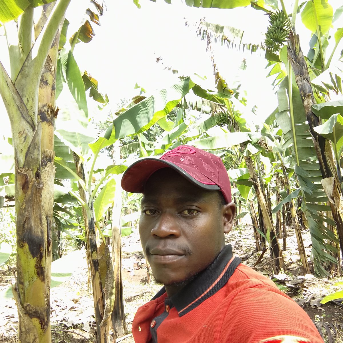 sirisite41798's tweet photo. For all relevant knowledge partaining agriculture https://t.co/mJtZh5FKe3