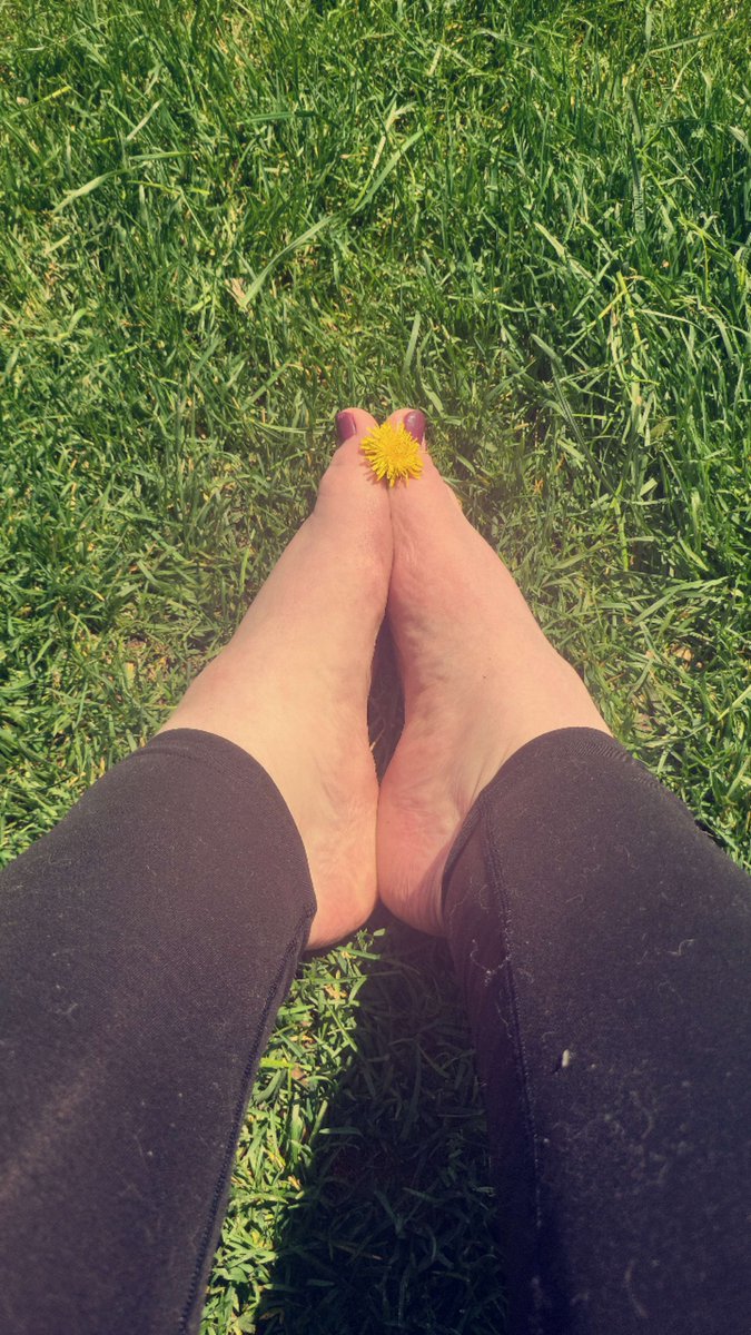 ToeBeanBabies's tweet photo. Good morning lovies <3
May the sun shine bright and the grass feel just right for you all today <3
#feet #feetpic #feetfetish #footfetish #toes #dandelion #toebeanbabies #paintedtoes #toesingrass https://t.co/Np322vKZxl