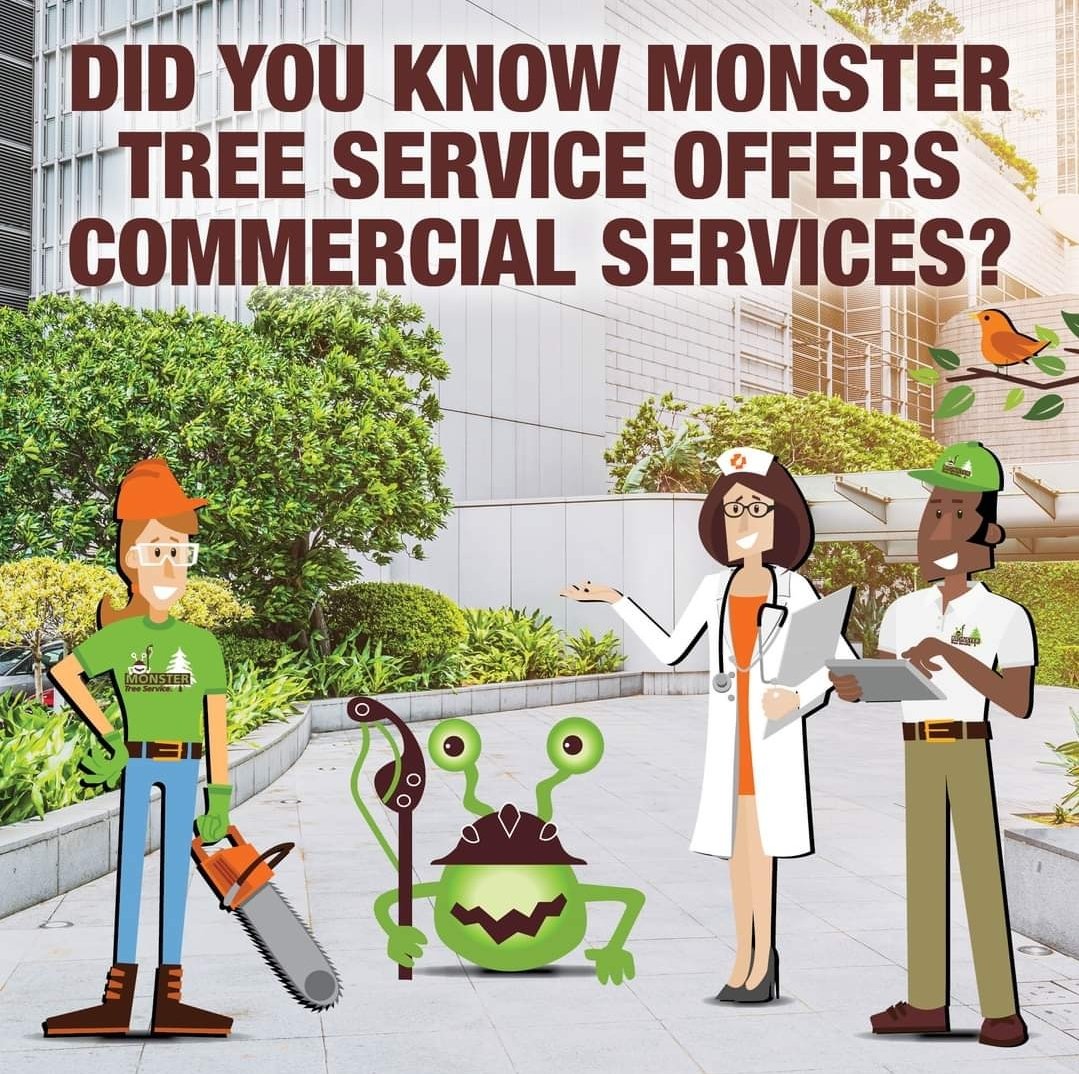 Did you know that we offer our services to businesses too? Whether you need regular maintenance or a one-time job, let us help you give your commercial property the care it deserves. fal.cn/3y6qp #CommercialServices
#HoA #TreeRemoval #TreePruning #PlantHealthCare