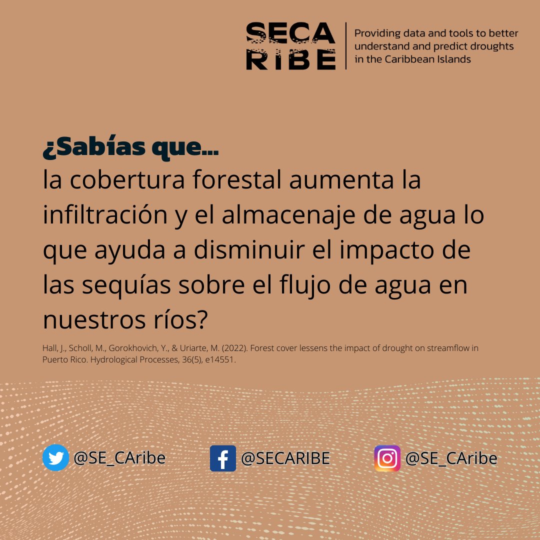 SECARIBE tweet media