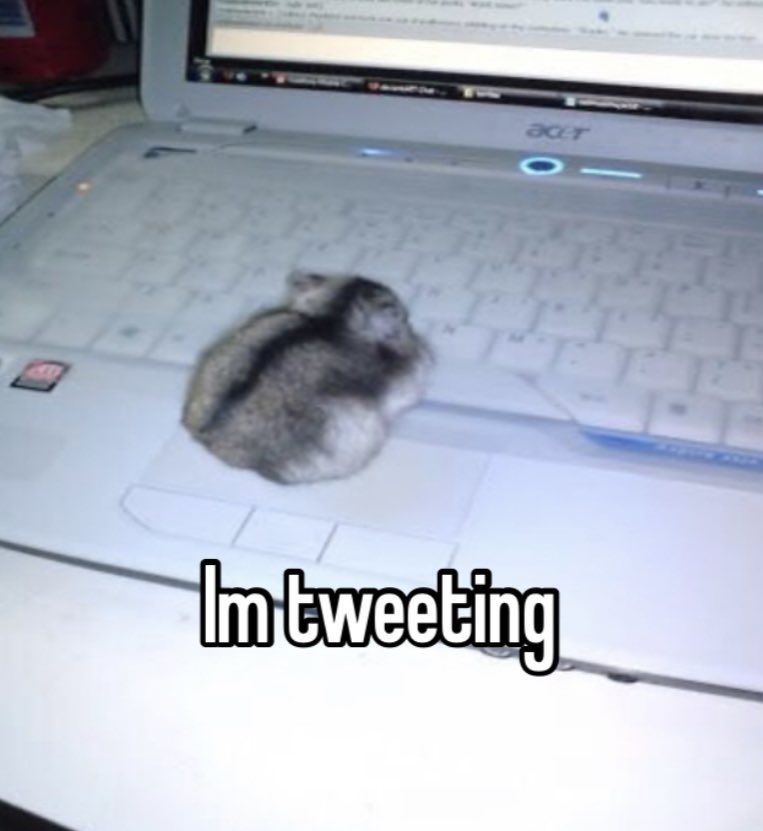 Gebura. (@crimsxncrush) on Twitter photo 