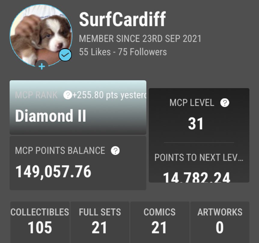 SurfCardiff tweet media