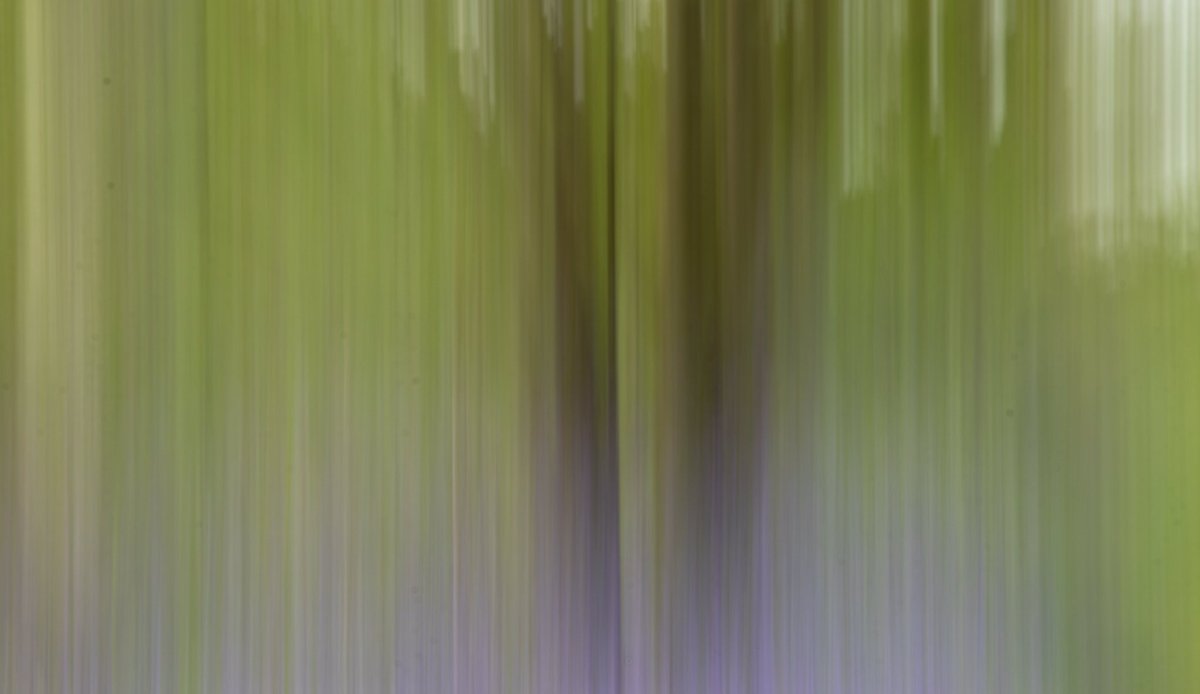 Impressionism, first attempt at ICM, inspired by my sister @UltrasoundPG to give it a try. Hadn’t a clue what to do but with the help of a YouTube tutorial from #theschoolofphotography, I’m really pleased with my first attempt.