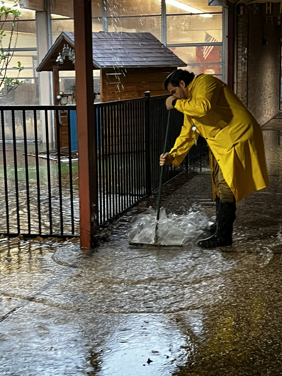 Northline Elementary tweet media