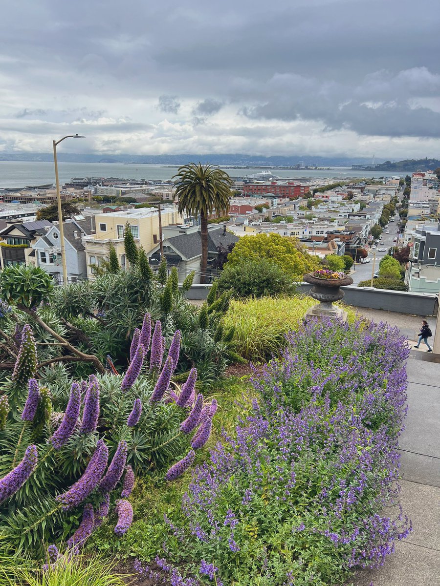 Weekend San Francisco hike thanks to <a href="/walksf/">Walk San Francisco</a> and <a href="/LianChikako/">Lian Chikako Chang</a>