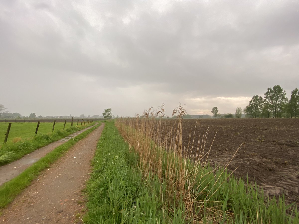 Sint-Pauwels, Waasland 09/05/2023 omstreeks 20u50  #vrtweer