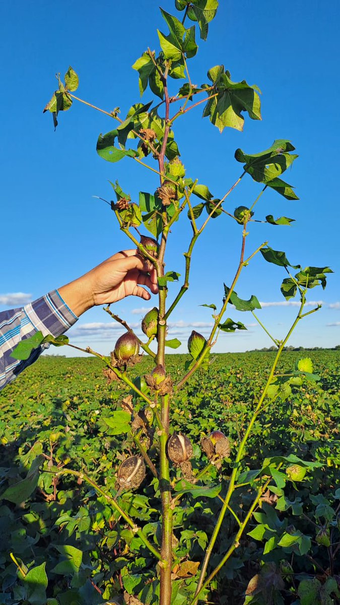 Alltec S.A tweet media