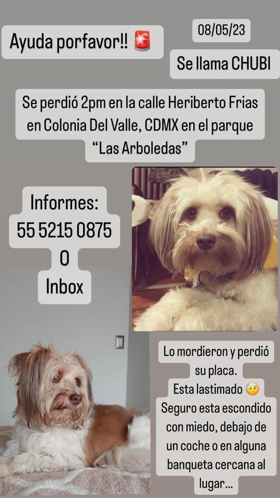 <a href="/MascotasBJ_cdmx/">Mascotas BJ_ CDMX 🐶🐱</a> <a href="/MascotasSismo/">Mascotas Sismo</a> <a href="/En_laDelValle/">En la Del Valle</a> <a href="/BlindarBJ/">Blindar BJ 360</a> <a href="/antymob/">Miss Anty Mobarak</a> <a href="/ColDelValleBJ/">Colonia Del Valle, Benito Juarez, #CDMX</a> <a href="/BrigadaAnimalMX/">BrigadaAnimalCDMX</a>