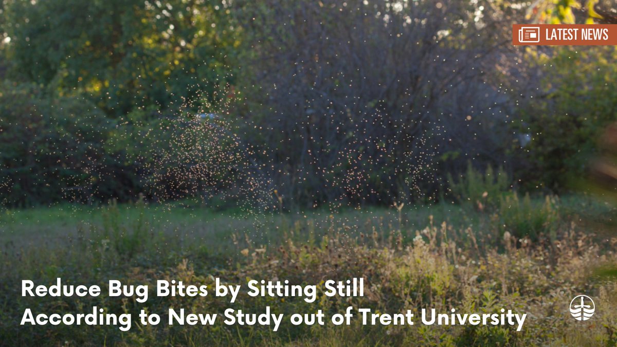 Trent University (@trentuniversity) on Twitter photo Warmer weather means the full-force return of stinging, biting, and flying insects. 🪰
But new #TrentU research by Dr. David Beresford and <a href="/JamesASchaefer/">James Schaefer</a> shows sitting still leads to 5x fewer bites.
<a href="/Trentbiology/">Trent Biology</a>
<a href="/Trent_TSE/">Trent School of the Environment</a>
Read more bit.ly/3VN1Gyg Warmer weather means the full-force return of stinging, biting, and flying insects. 🪰
But new #TrentU research by Dr. David Beresford and <a href="/JamesASchaefer/">James Schaefer</a> shows sitting still leads to 5x fewer bites.
<a href="/Trentbiology/">Trent Biology</a>
<a href="/Trent_TSE/">Trent School of the Environment</a>
Read more bit.ly/3VN1Gyg
