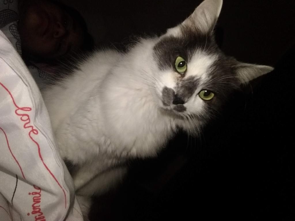 Jessi_BS's tweet photo. @mmaethe Agora as gatinhas #MaetheMegaMaio https://t.co/IYUkJ3ihjB