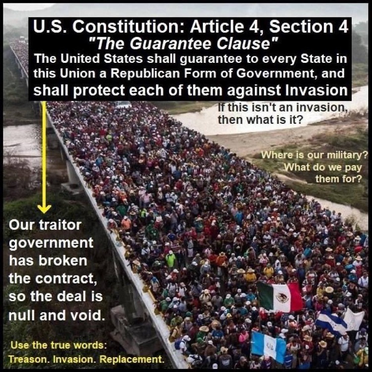 #Border #Title42 #Constitution #Article4Section4 #BidenBorderCrisis #BidenBorderInvasion #DemocratsHateAmerica #DemocratsAreDestroyingAmerica