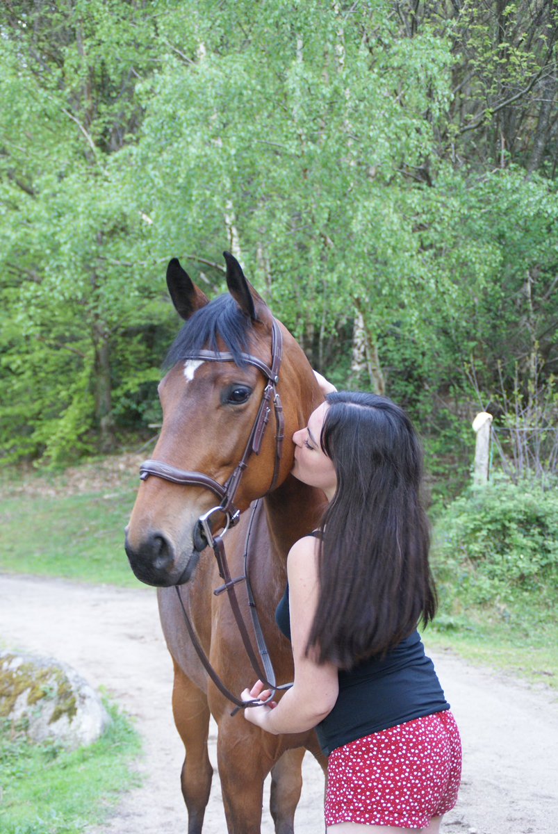 this_is_camcam's tweet photo. 🫶🏻 
•
#HANTIX #angloarabe #equestrian https://t.co/8hlM7QXfSQ