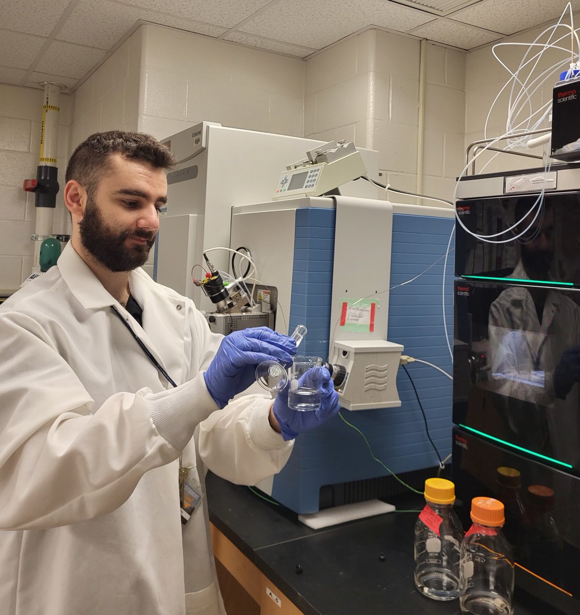 Grad Student Spotlight: Dionysis @bio_dio_ is a PhD candidate in the @yeastychic lab studying glyphosate (RoundUp) transport and its effects on the yeast metabolome. Here is a scan he took showing the proposed glyphosate transporter (dip5) localization (green) in yeast (blue)!