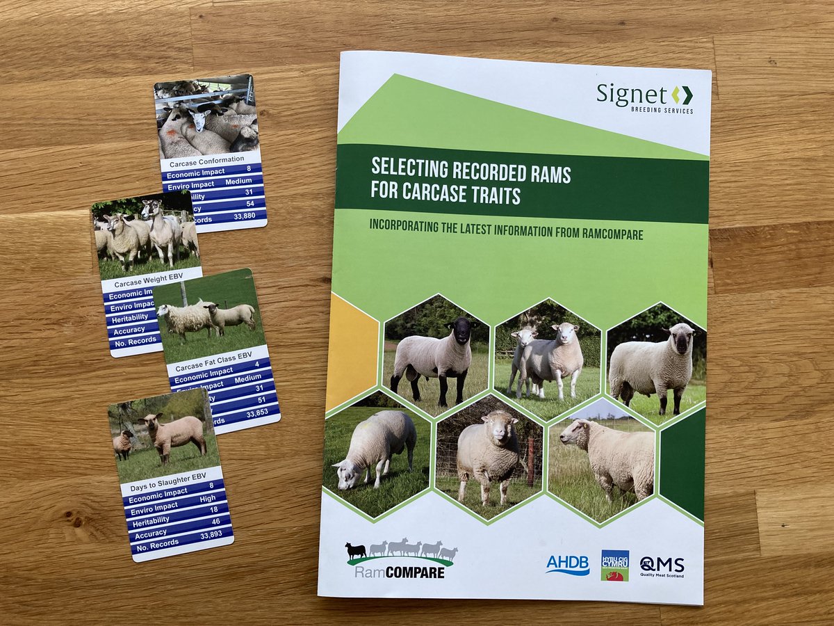 RamCompare's tweet image. Don't forget to catch up with @SamBoonBreeding for updated fresh approach to @RamCompare results reporting - @AHDB_BeefLamb stand at the @natsheep South West event tomorrow - when you're there stop to play the game about breeding values, economic impact and more - what sire wins!