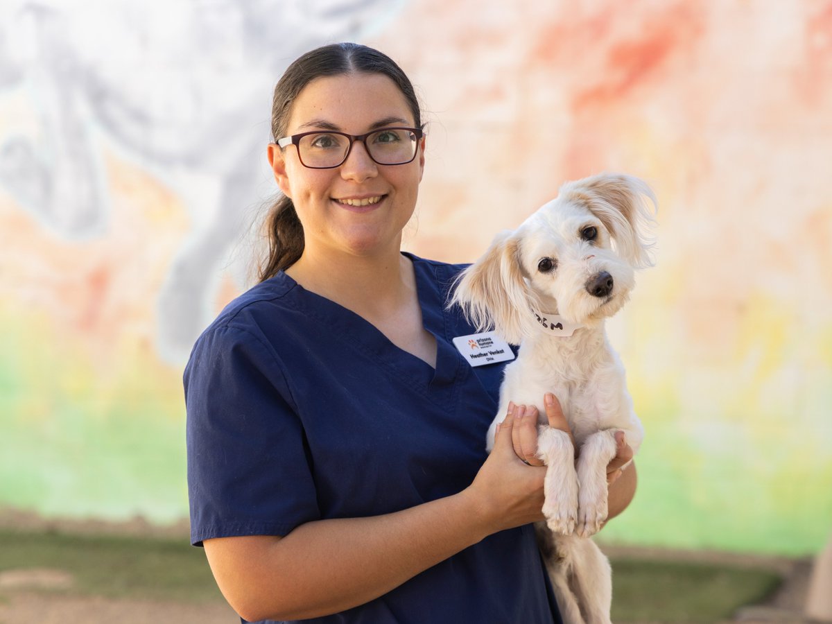 Thank you @GovernorHobbs for signing SB1053, which authorizes veterinary telemedicine and ensures access to care for pets across the state. And thank you @TJShopeforAZ for sponsoring the bill and working with AHS to advocate for pets and the people who love them! 🎉🐾🧡