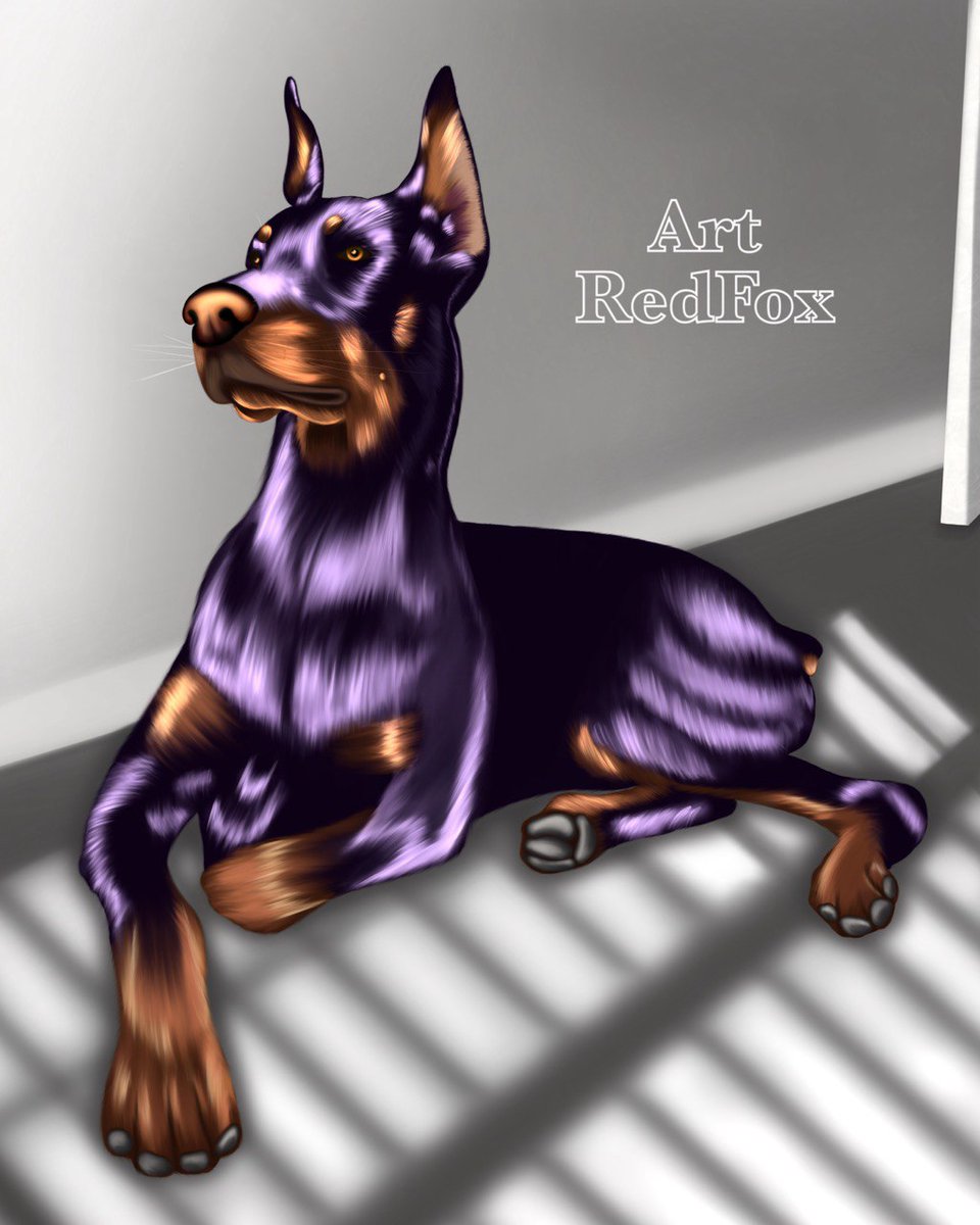 redfoxtatana's tweet photo. My Doberman 🖤
What is your favorite dog?

#illustrator #sketch #instaart #creative #digital #digitalart #digitalillustration
#animal #doberman #dog https://t.co/B4xpIzZJ9R