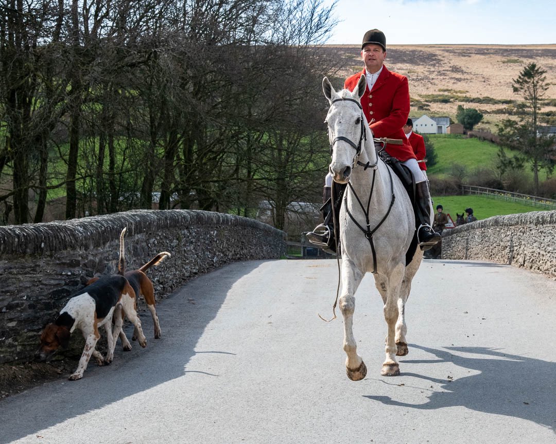 lurcherwork's tweet photo. Devon and Somerset #staghounds cross the bridge in #Withypool
#hounds #followhounds #houndsports #keephunting https://t.co/8t2Ngrz5IZ