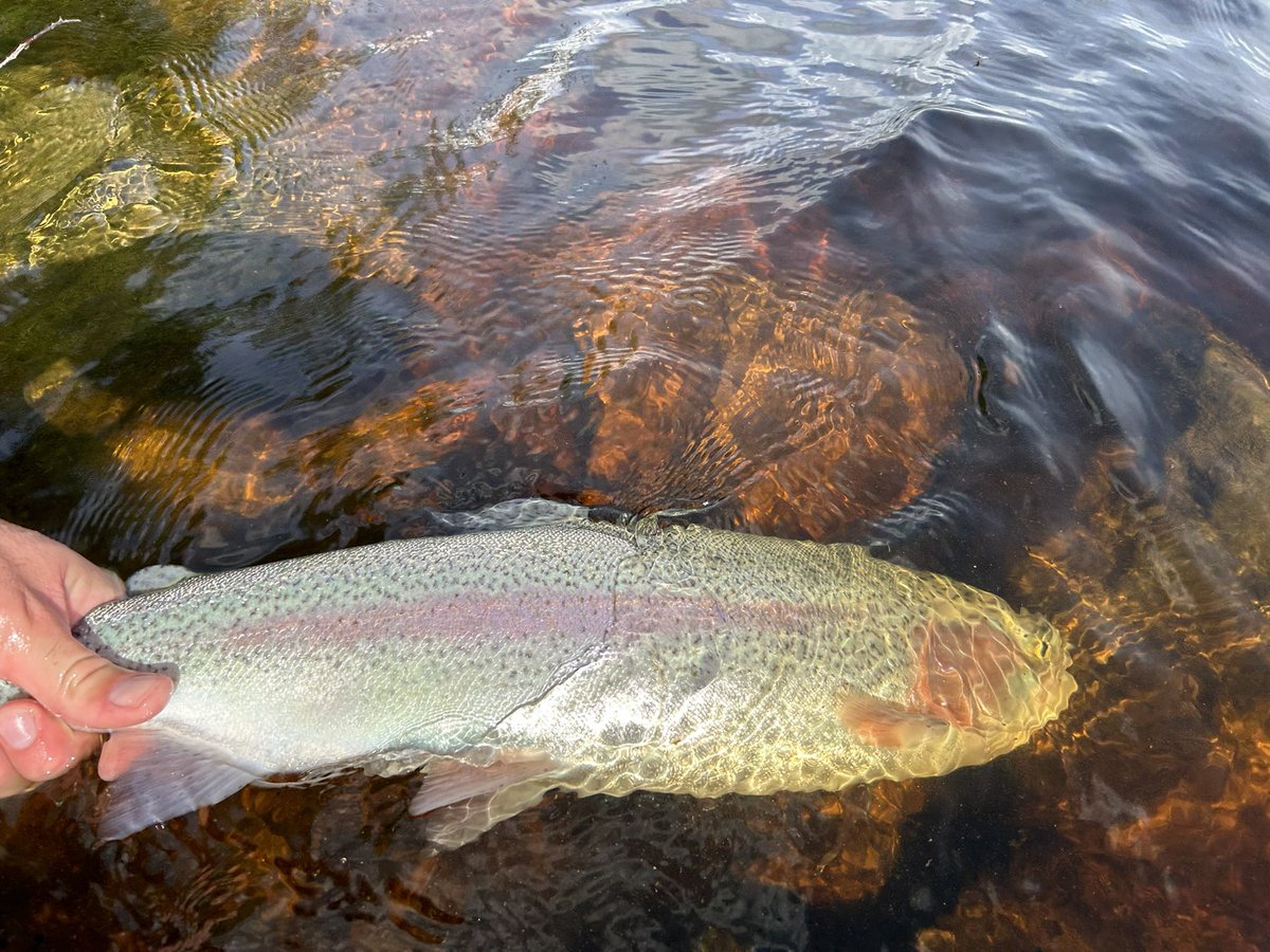 Jsmithy1994's tweet photo. Quality day trip today to Leighton Reservoir  fantastic scenery and a good few fish landed. https://t.co/5HbHpVFOi4