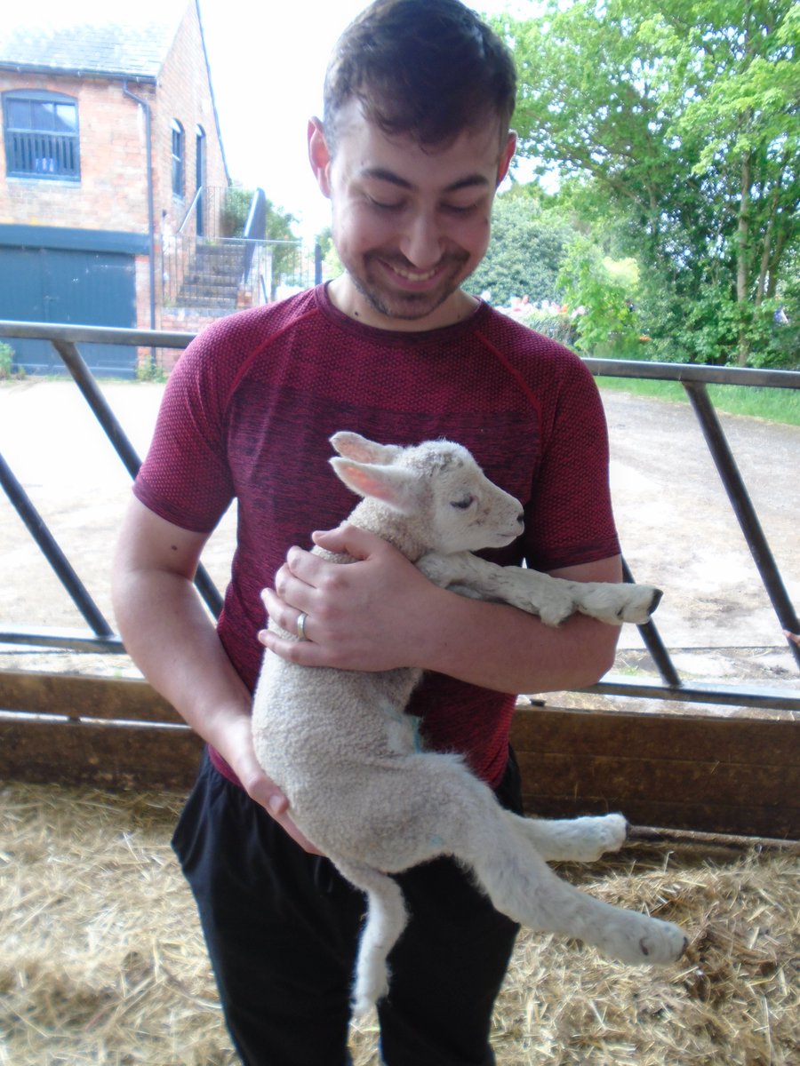FernPrimary's tweet photo. Turtles and Penguins had a wonderful day at Manor Organic Farm today. The sun shone, they missed any showers! They ran through wild flower meadows and up hills, saw cows and their calves and sheep and their lambs...they even got to stroke or hold a lamb! https://t.co/oxVBffuSGV