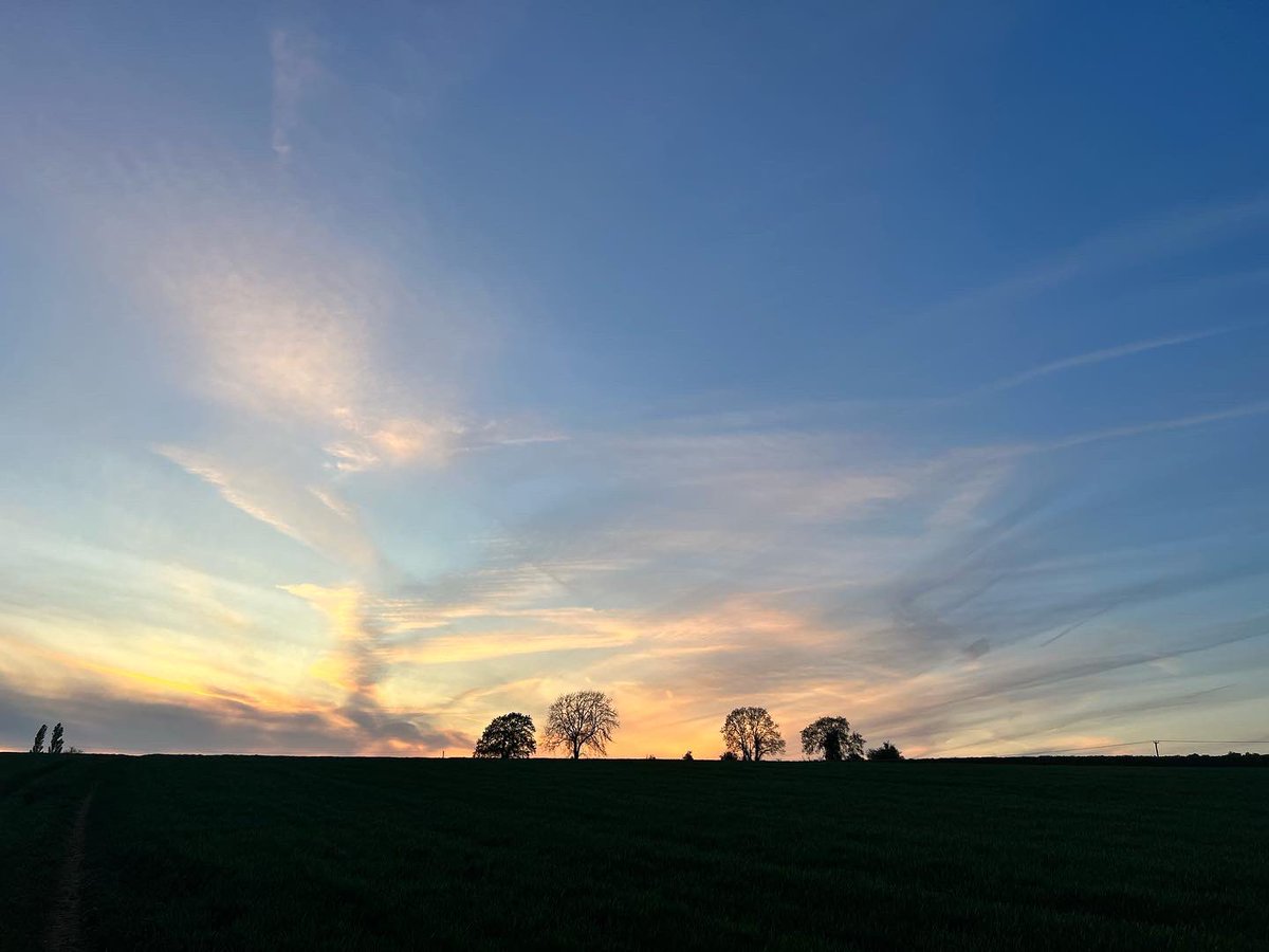 goodnamesallgon's tweet photo. Not done a #fieldwalk photo in a while but last night was beautiful. https://t.co/xVZTgOhTd5