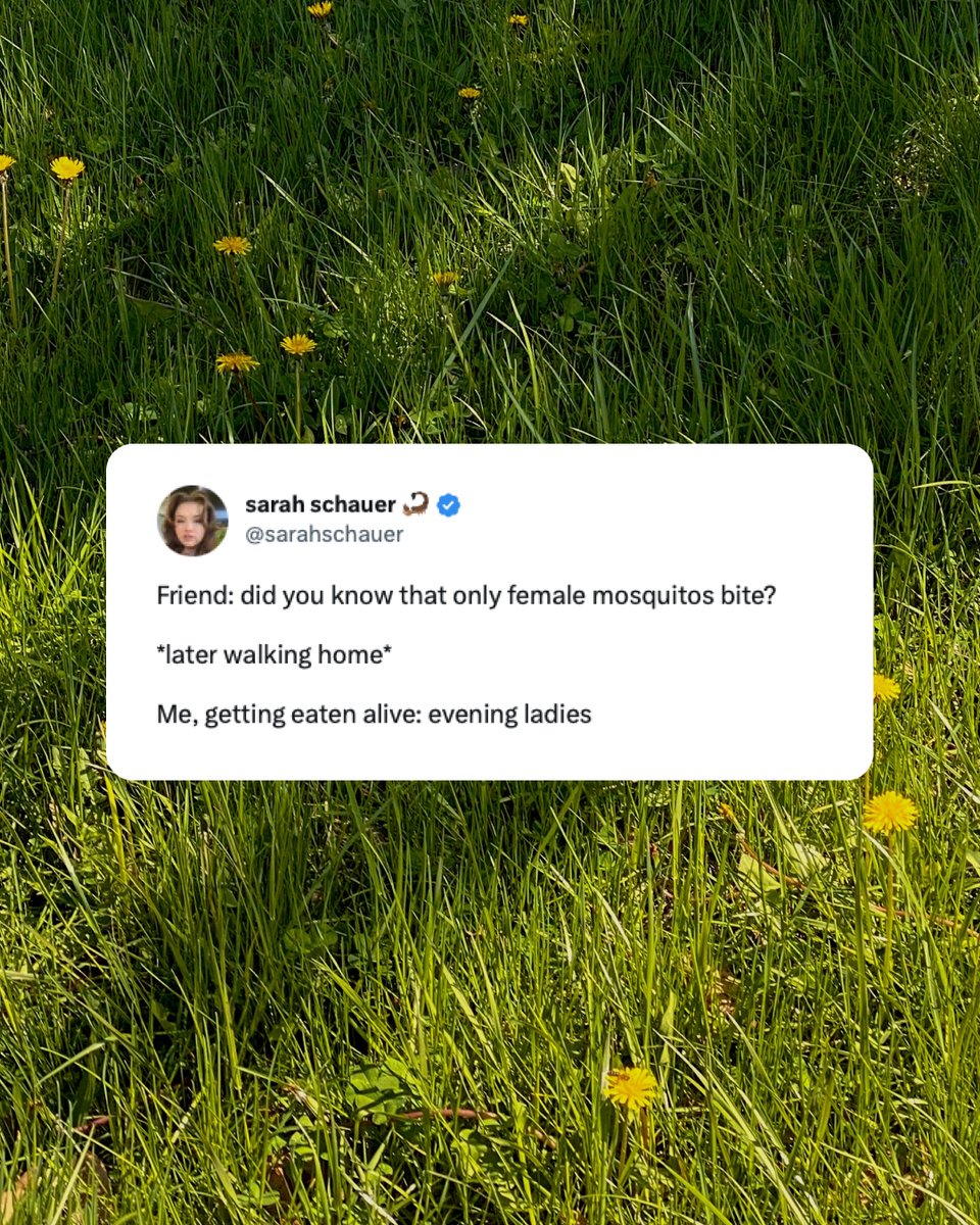 All Better Co is making it better to be outside tweet media