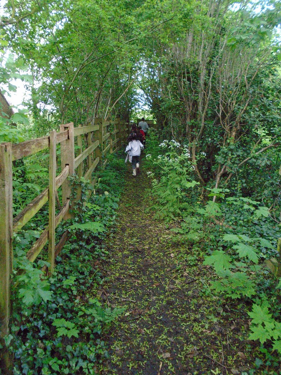 FernPrimary's tweet photo. Turtles and Penguins loved the mud, animals and fresh air! https://t.co/Yfnu39yM7E