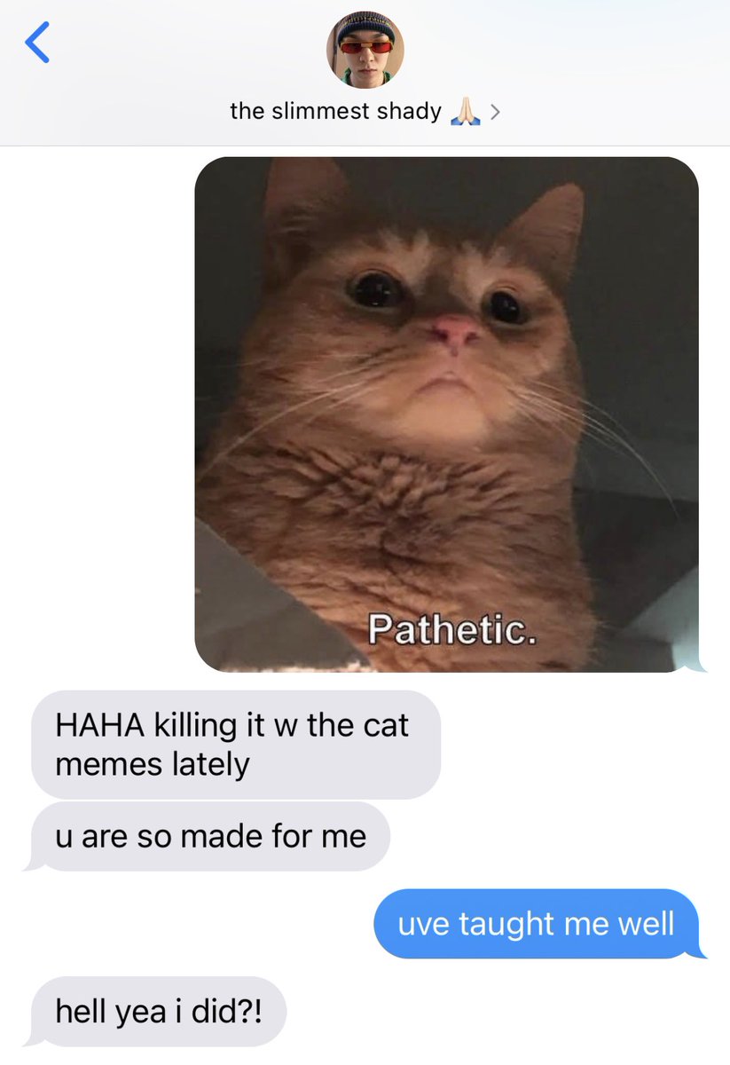 On Twitter Cat Memes