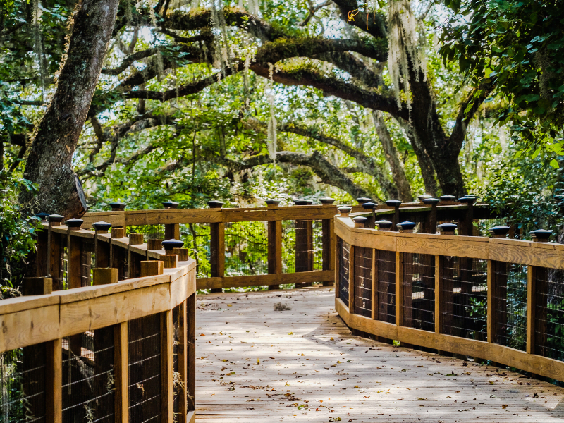 FlGuestDrctry's tweet photo. Life is better outside. Covering over 4000 acres Tallahassee is home to over 100 state, county, and city parks featuring, fishing, hiking, biking, picnicking, and playgrounds. #TomBrownPark, #DorthyBOven, #MaclayGarden, #LakeJackson, #CascadePark, #JackMcLeanPark, #HerritageLake. https://t.co/wvpzfRv04F