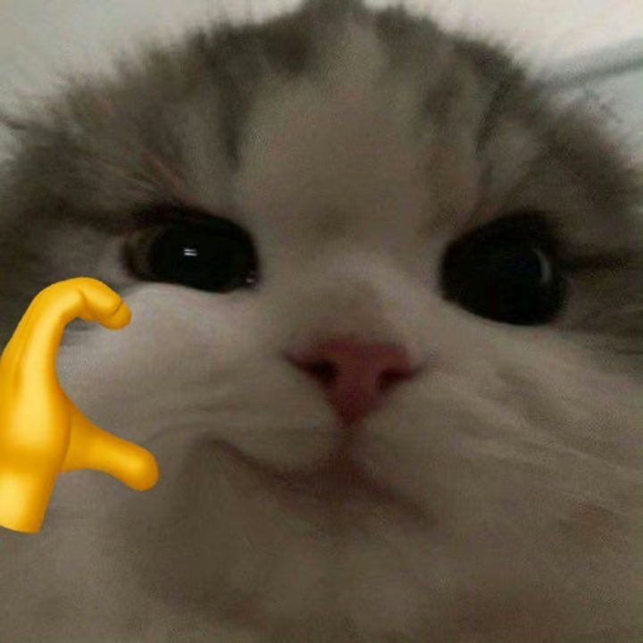licky_lu's tweet photo. 𝓡𝓲𝓬𝓴𝔂 https://t.co/Qb4zSczyvv