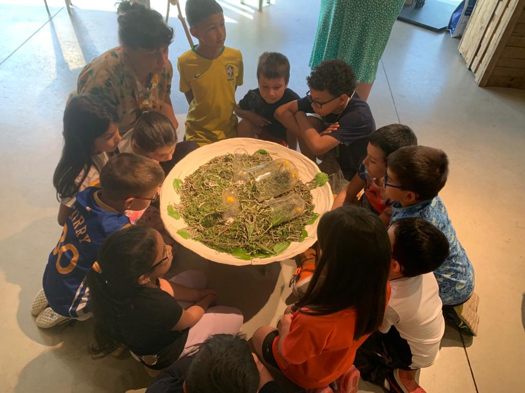 ceip_penalba's tweet photo. Aprovechando el buen tiempo  el alumnado de 3°,4°,5° y 6° de Educación Primaria del @ceip_penalba hemos visitado la exposición #ExpoSeda en el museo de la energía, disfrutando de los alrededores. También nos hemos traído gusanos de seda, iniciando nuestro propio proyecto 🐛🐛🌳 https://t.co/ZzgEYh4SIX