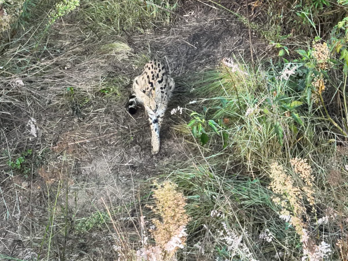 𝓽𝓱𝓮 𝓐𝓵𝓵𝓯𝓪𝓽𝓱𝓮𝓻 tweet media